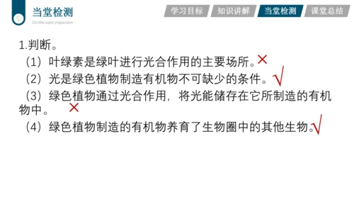 3.3.4  绿色植物是生物圈中有机物的制造者  课件-2023-2024学年人教版生物七年级上册(