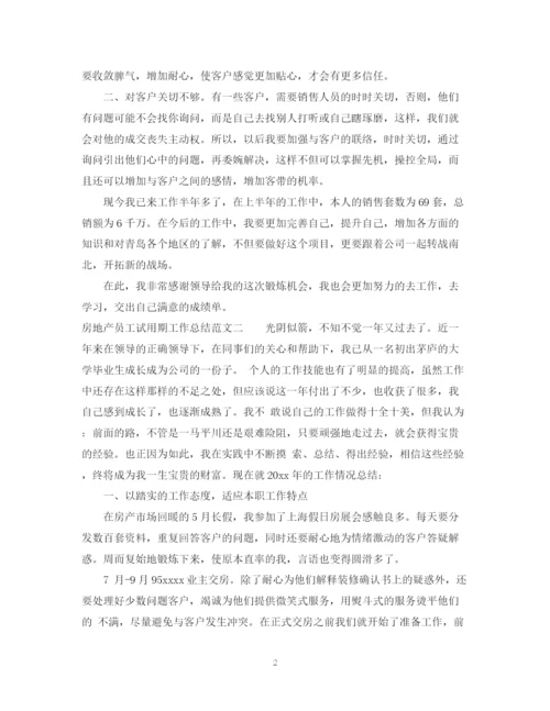 精编之房地产新员工转正试用期工作总结范文.docx