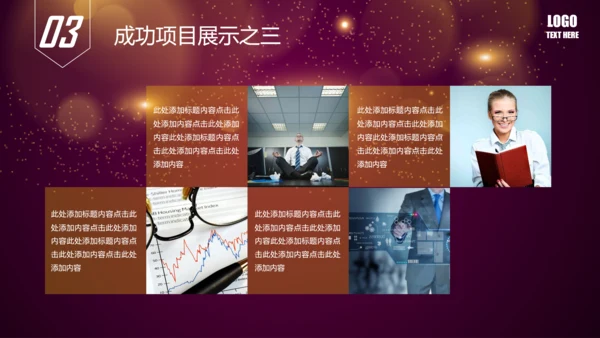 唯美2016年商务工作总结述职报告PPT