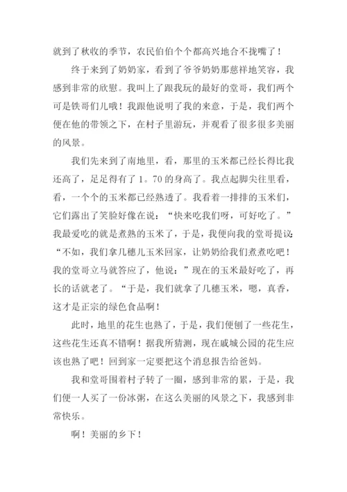 乡下风景作文500字.docx