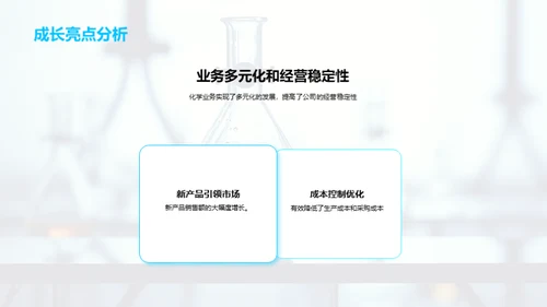 化学业务的20XX年回顾