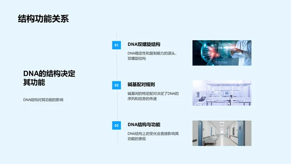 DNA化学性质研讨PPT模板