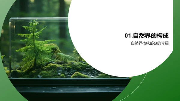 探秘自然世界
