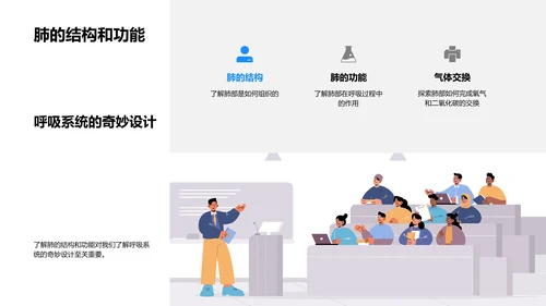 人体器官系统讲解