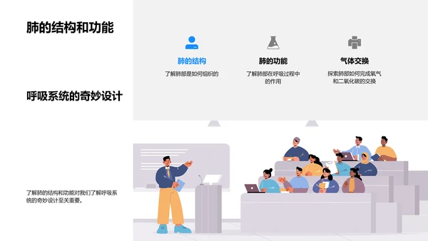 人体器官系统讲解