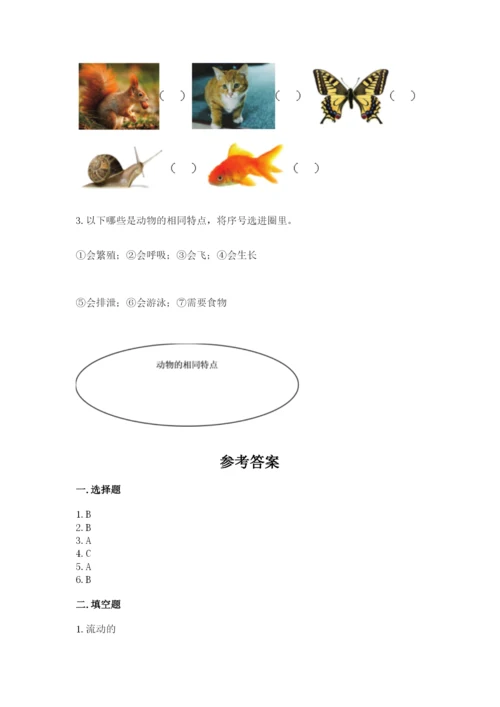 教科版一年级下册科学期末测试卷精品（名师系列）.docx