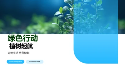 绿色行动 植树起航