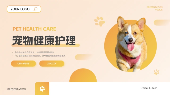 黄色渐变个性大气宠物健康护理PPT模板