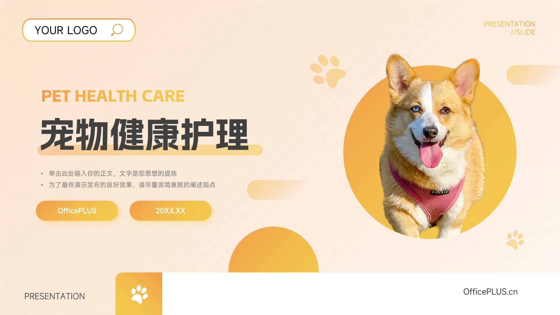 黄色渐变个性大气宠物健康护理PPT模板