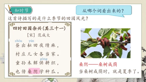 【核心素养】部编版语文五年级下册-1.古诗三首 第1课时（课件）