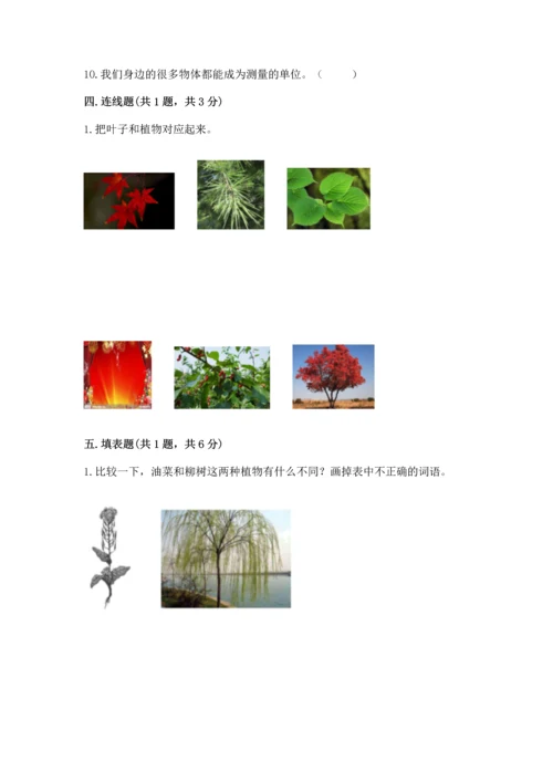 教科版小学一年级上册科学期末测试卷附答案ab卷.docx