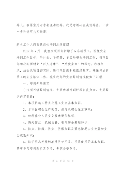 新员工个人岗前适应性培训总结.docx