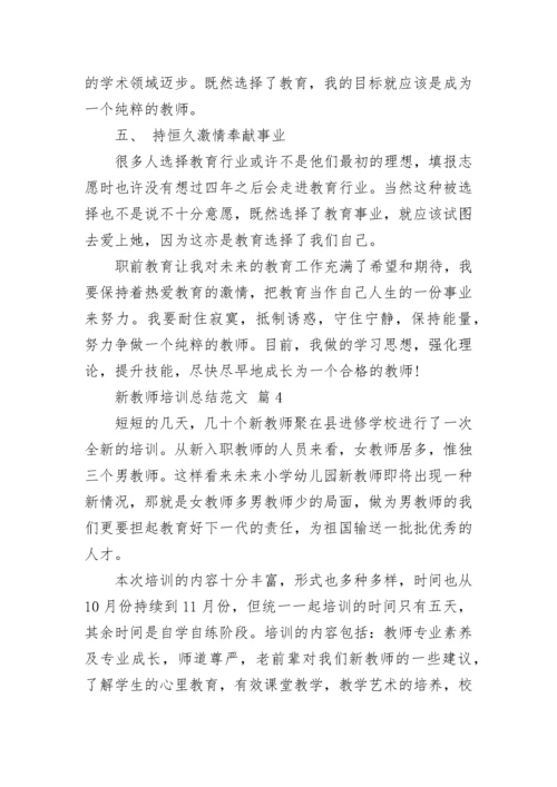 新教师培训总结范文.docx