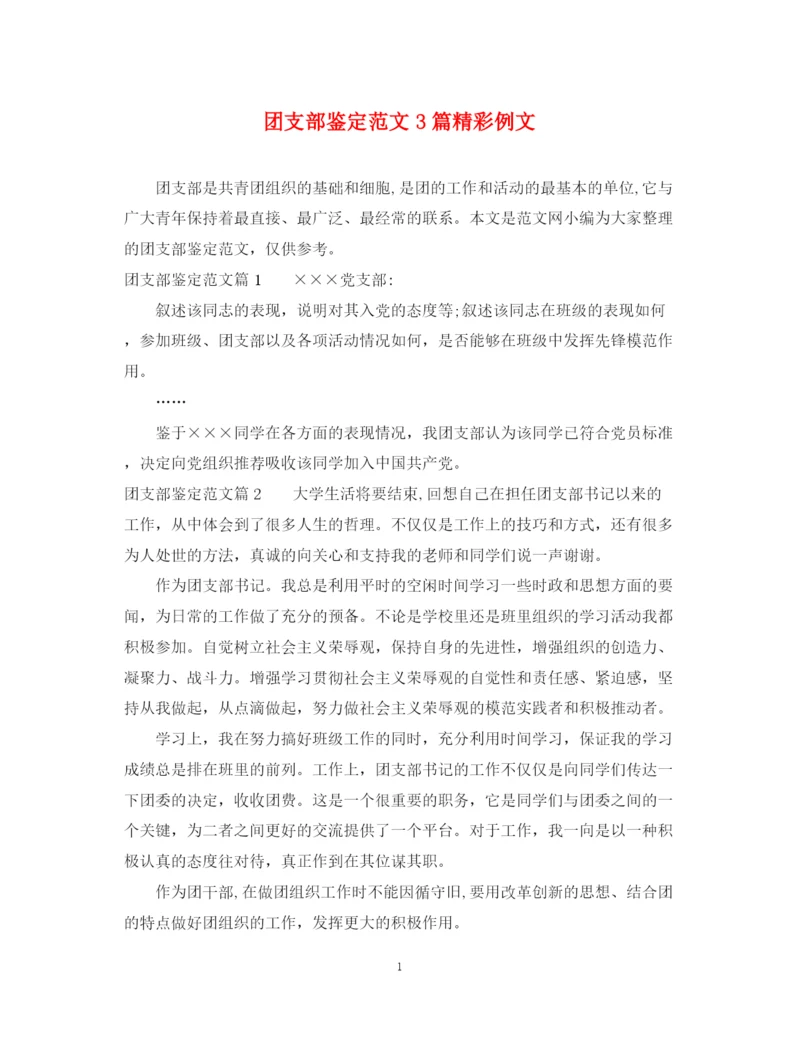 精编之团支部鉴定范文3篇精彩例文.docx