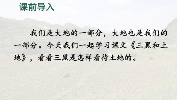 第21课 《三黑和土地》   课件