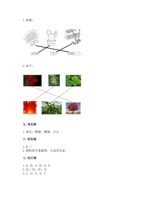 教科版科学一年级上册第一单元《植物》测试卷附参考答案【考试直接用】.docx