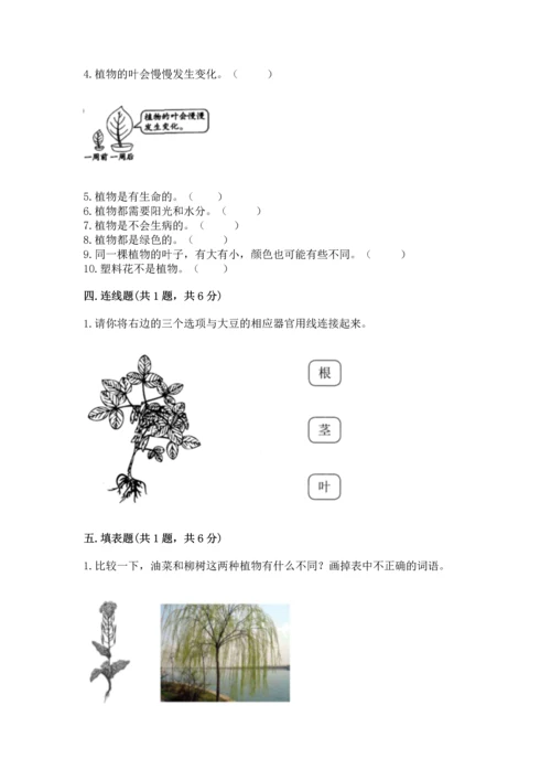 教科版一年级上册科学期末测试卷（名校卷）.docx