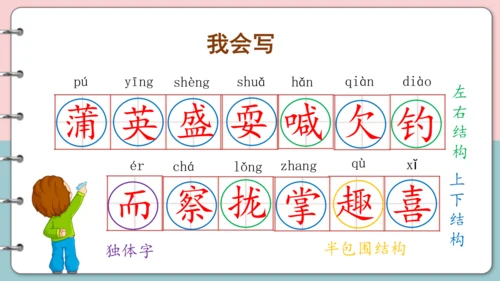 第16课《金色的草地》（第一课时）课件