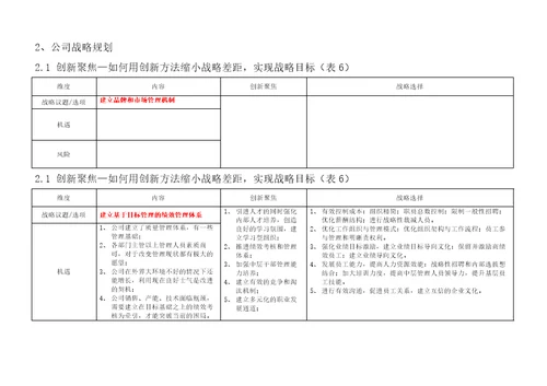 集团战略规划书BLM