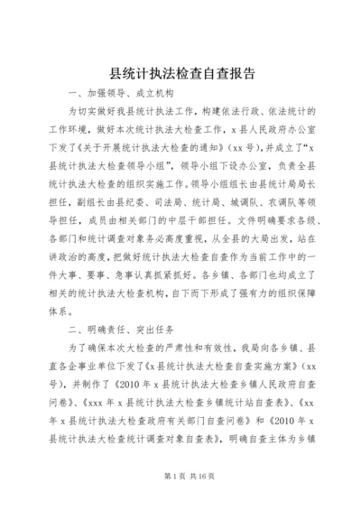 县统计执法检查自查报告 (2).docx