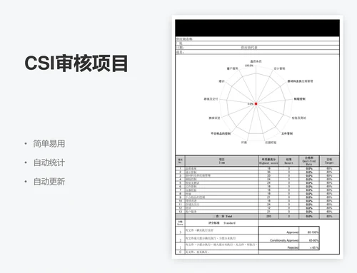 CSI审核项目