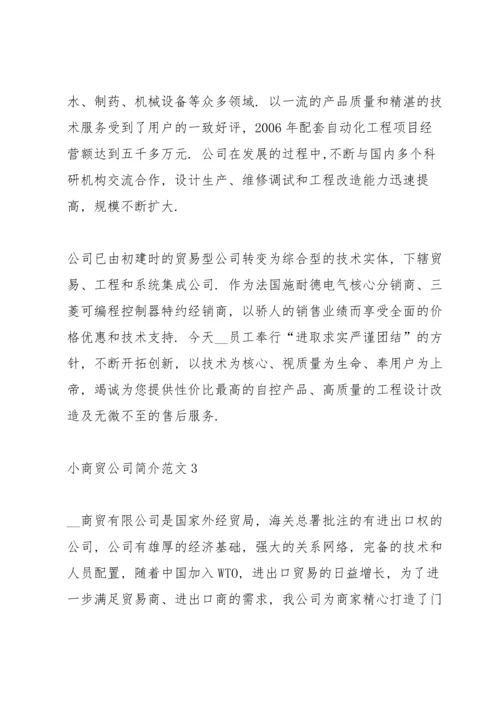小商贸公司简介范文.docx