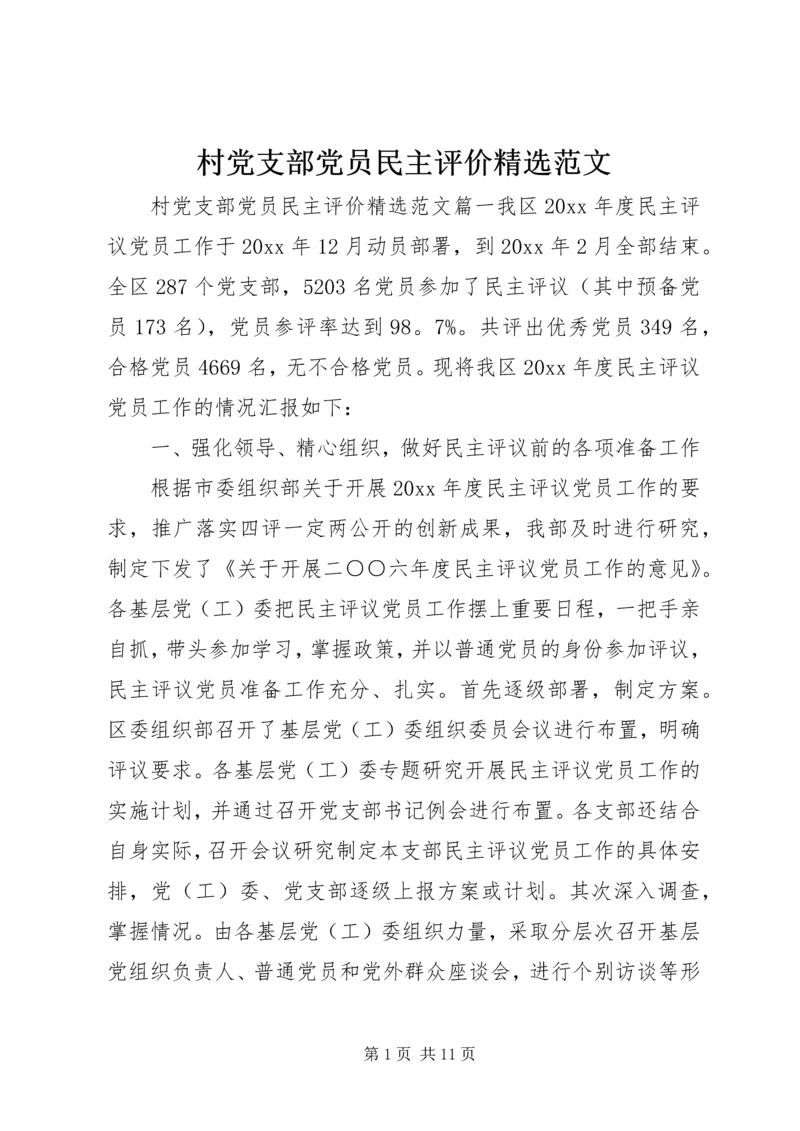 村党支部党员民主评价精选范文.docx