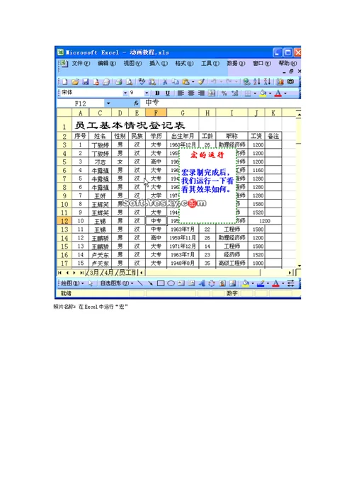 一套价值8800元的excel教程 包你一学就会。