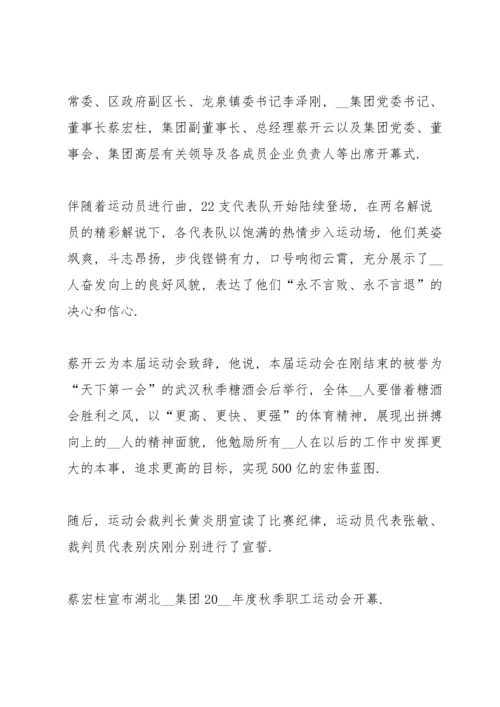 运动会开幕式新闻稿5篇.docx