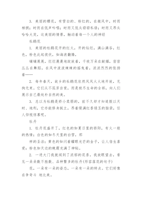 形容各种花的句子与词语.docx