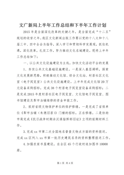 文广新局上半年工作总结和下半年工作计划.docx