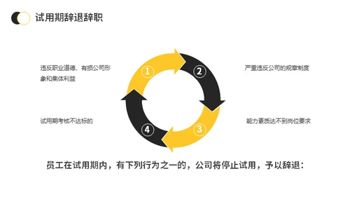 新员工入职与试用期管理办法公司管理通用PPT模板