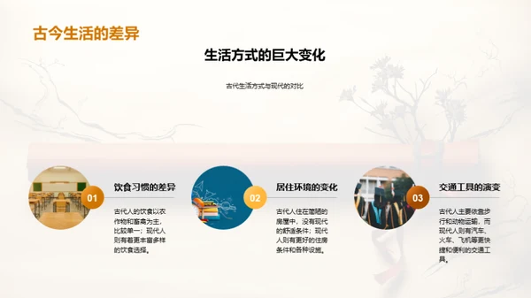历史探秘之旅