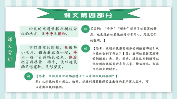 统编版五年级语文上册第17课《松鼠》教学课件