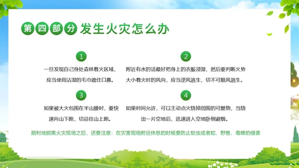 世界森林日保护森林爱护地球主题班会PPT课件
