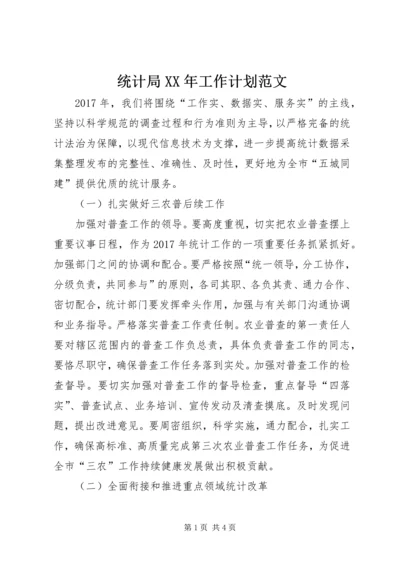 统计局XX年工作计划范文.docx