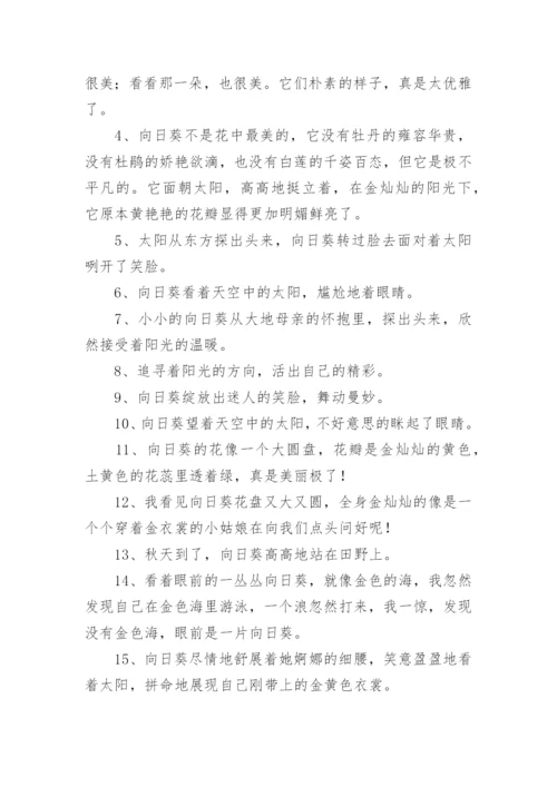 向日葵唯美语录.docx