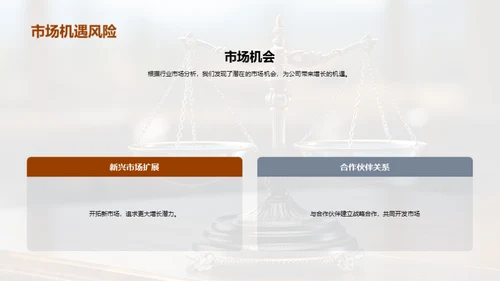 财务实力与未来规划