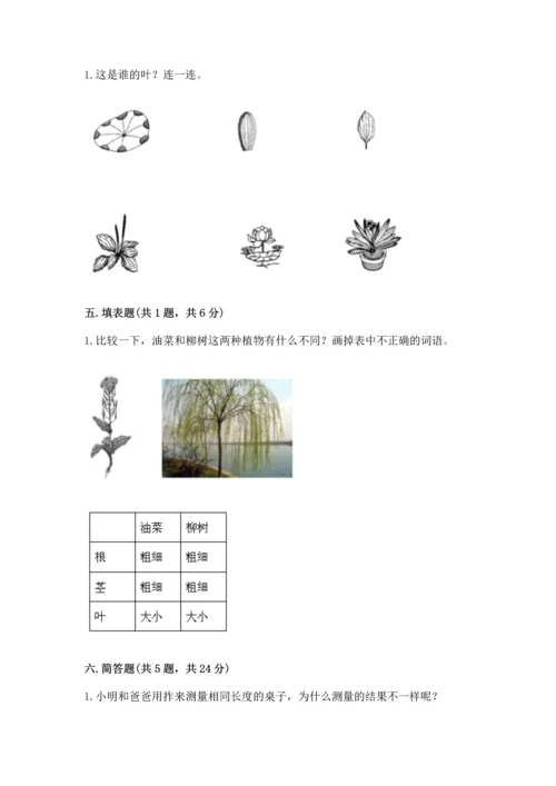 教科版一年级上册科学期末测试卷重点班.docx