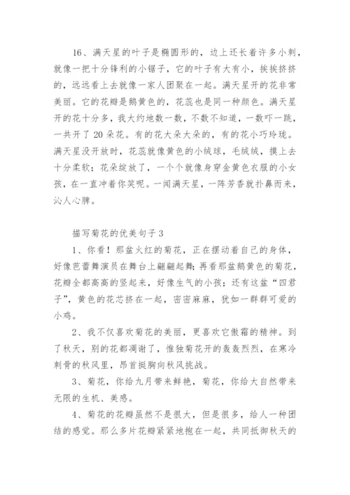 描写菊花的优美句子.docx