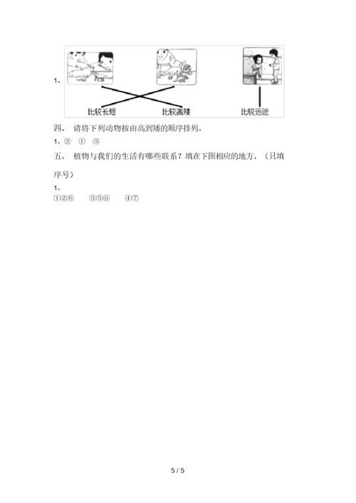 最新教科版一年级科学上册期末考试卷(参考答案)