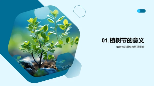 植树环保：公益新行动