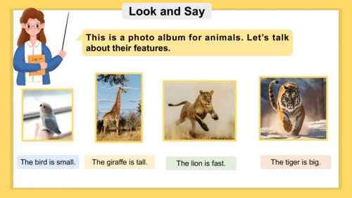 Unit 3 Amazing animals 单元复习课件(共33张PPT)