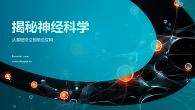 揭秘神经科学