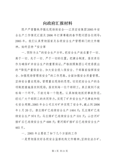 向政府汇报材料.docx