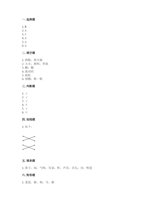 教科版一年级下册科学期末测试卷及参考答案（培优b卷）.docx