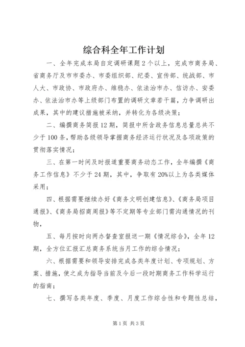 综合科全年工作计划.docx