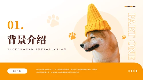 宠物代养宠物寄存商业计划书模板