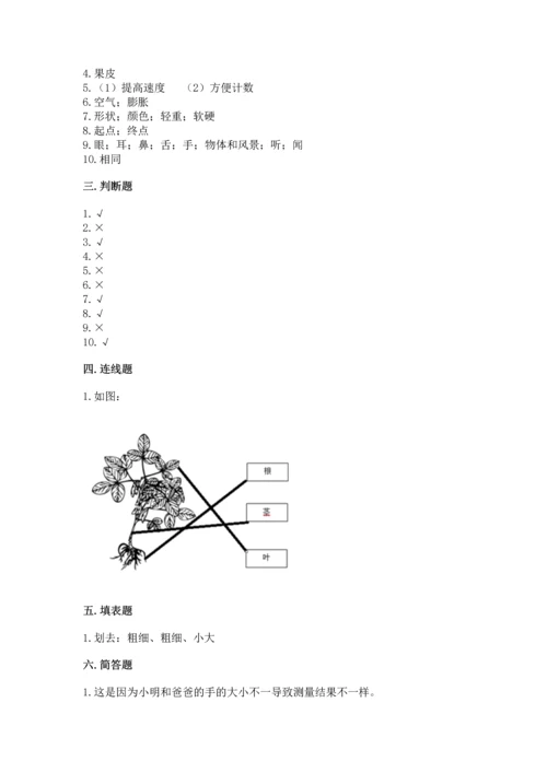 教科版小学一年级上册科学期末测试卷（精华版）.docx