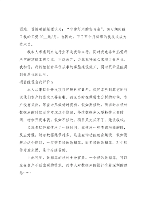 项目经理自我评价